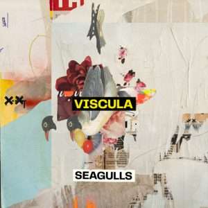 Viscula By Seagulls