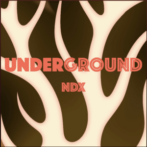  Underground (Original Single)By Near Death Experience (NDX)