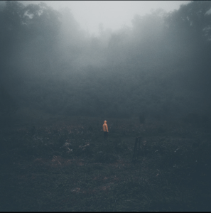 Xsufflation (Original Single) By Odonian Drifts