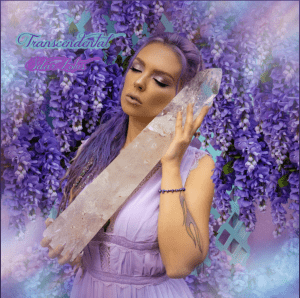 Transcendental (Original Single) By Sdar Lotus
