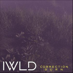  Correction Burn (Original Single) By IWLD