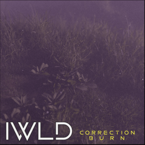 Correction Burn (Original Single) By IWLD