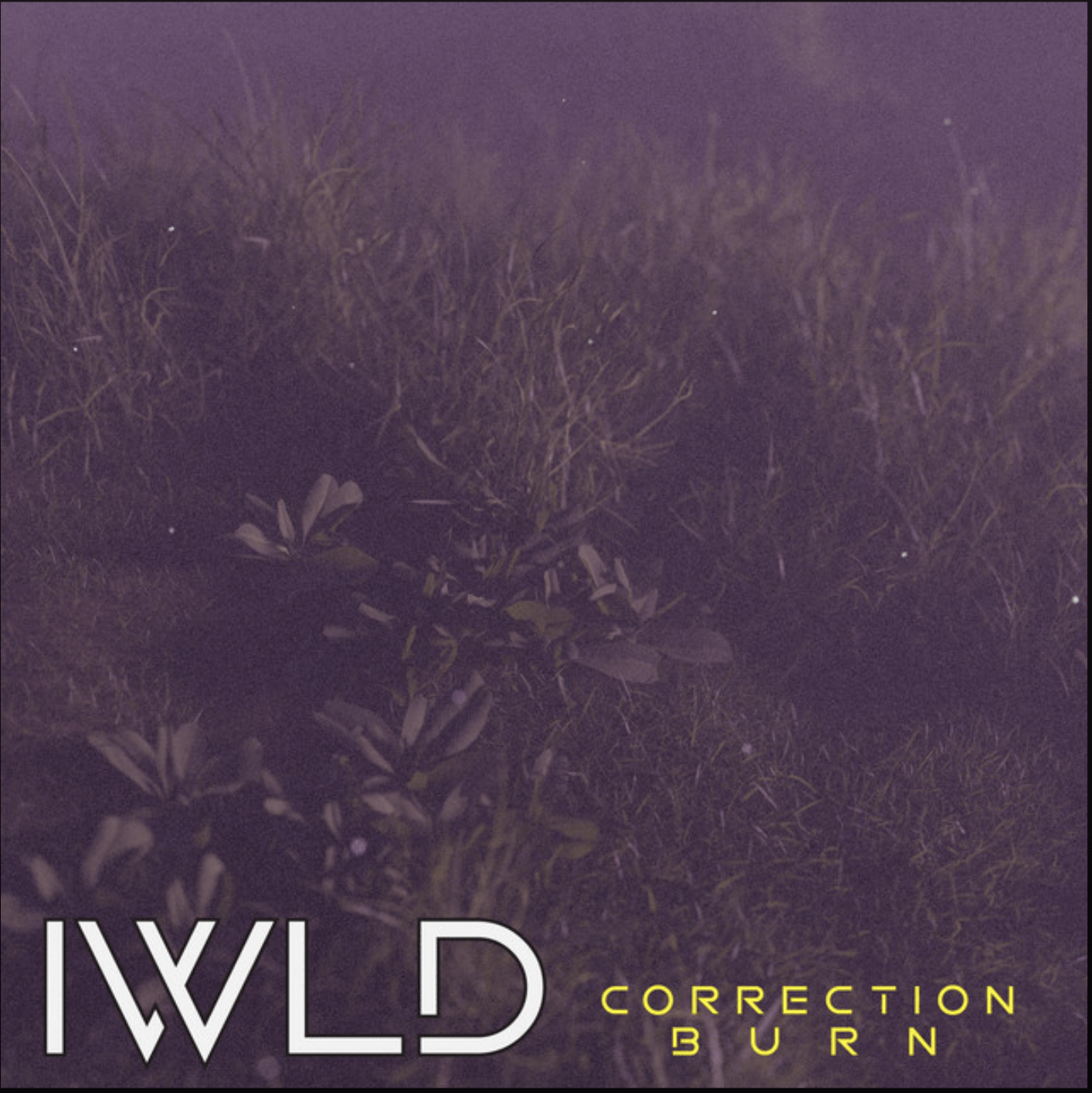 Correction Burn (Original Single) By IWLD