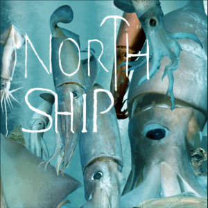 Plastic House (Original Single) by North Ship