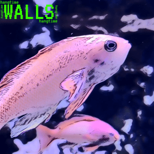 Walls (Original EP) by Hangtime