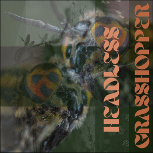 Headless Grasshopper (Original Single) by Campfire Sigh